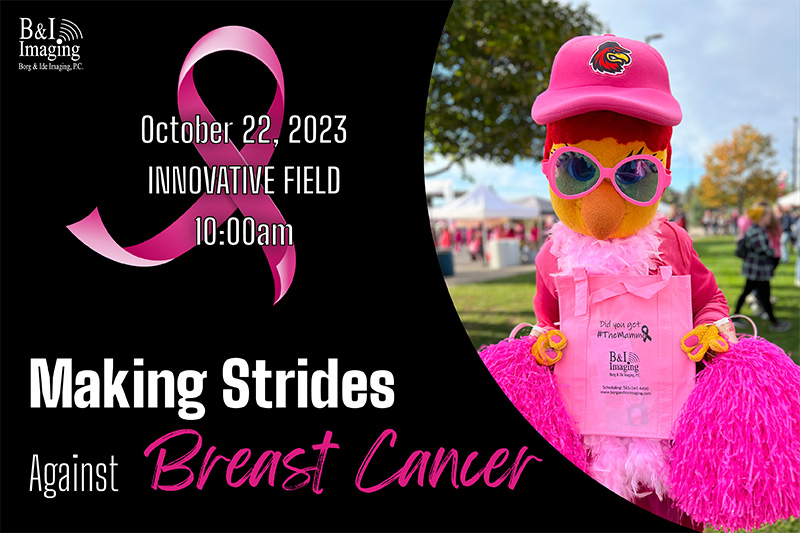 Rochester's Making Strides Against Breast Cancer, New York