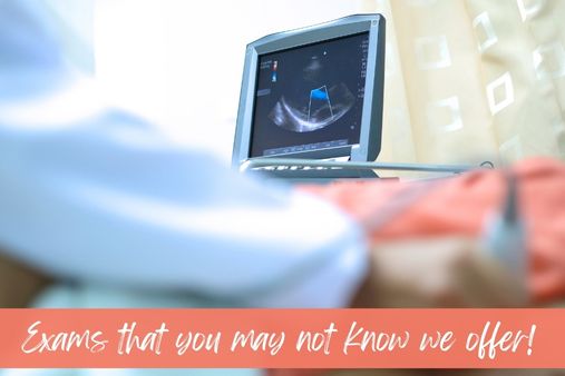 We perform Echocardiograms, Nuclear Medicine Stress Tests, and Nuclear Medicine Stress Echo Lexiscan