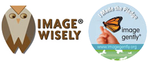 Image Wisely